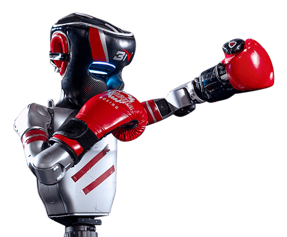 Boxing Training Robot
